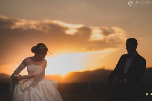 fotograf nunta alba