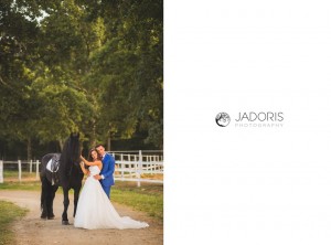 trash the dress sibiu